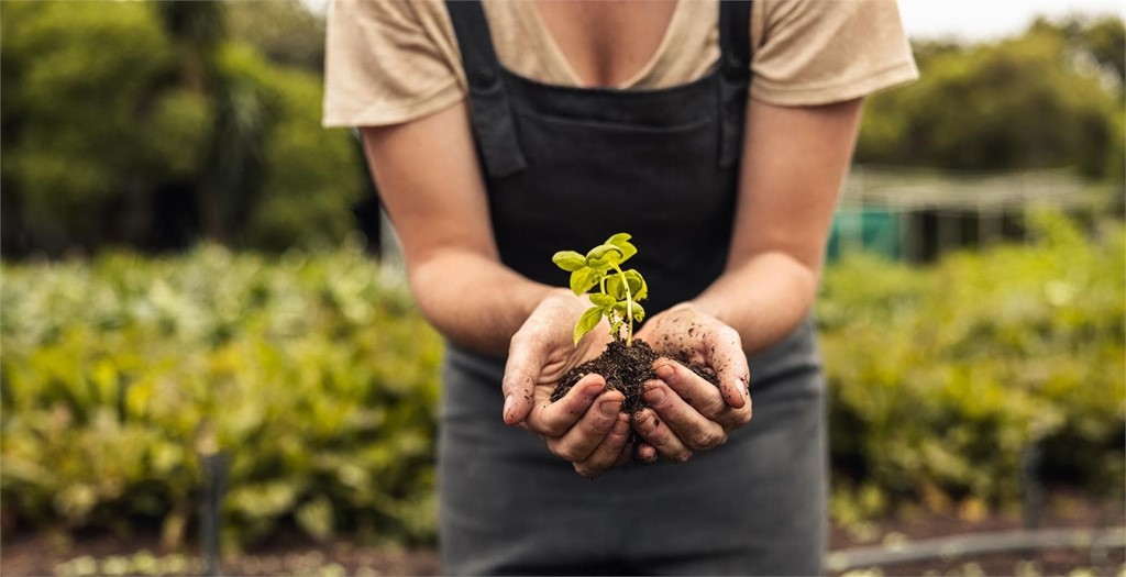 ¿Cómo influye la agricultura ecológica en la preservación del medio ambiente?