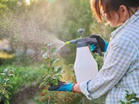 ¿Cómo seleccionar el abono adecuado para cada tipo de planta en tu jardín o cultivo?