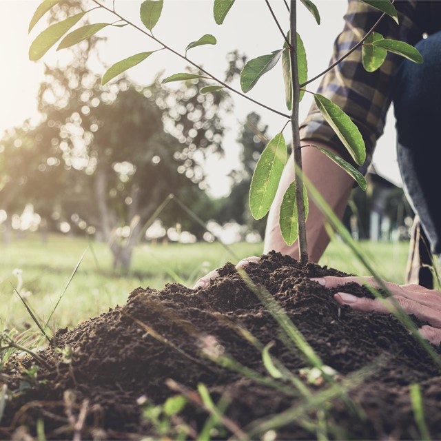 Encuentra el mejor abono para tu cultivo