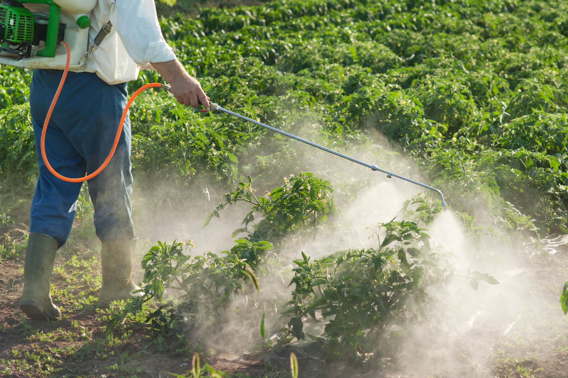 Tienda de agricultura ecológica en Pontevedra