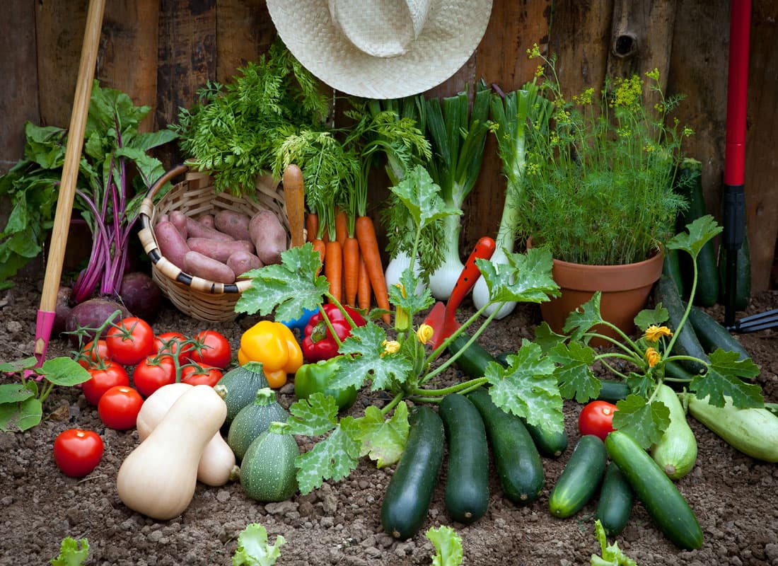 Comprar productos para huerto ecológico en Pontevedra