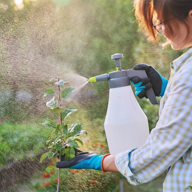 Mejora tu salud con la agricultura ecológica