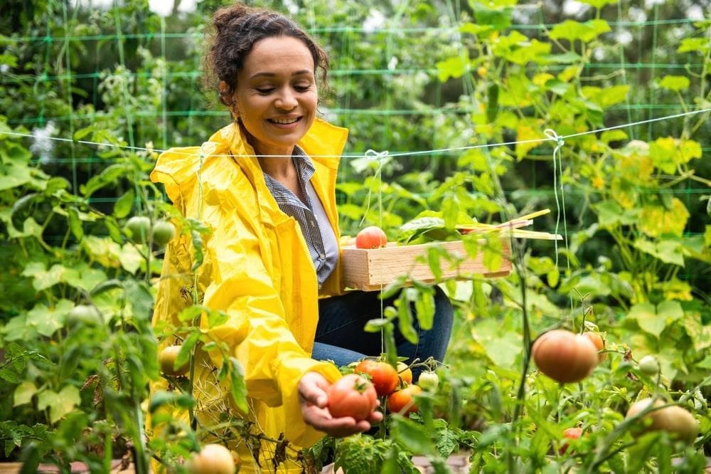 ¿Qué beneficios aporta el consumo de productos de agricultura ecológica a la salud?