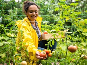 ¿Qué beneficios aporta el consumo de productos de agricultura ecológica a la salud?